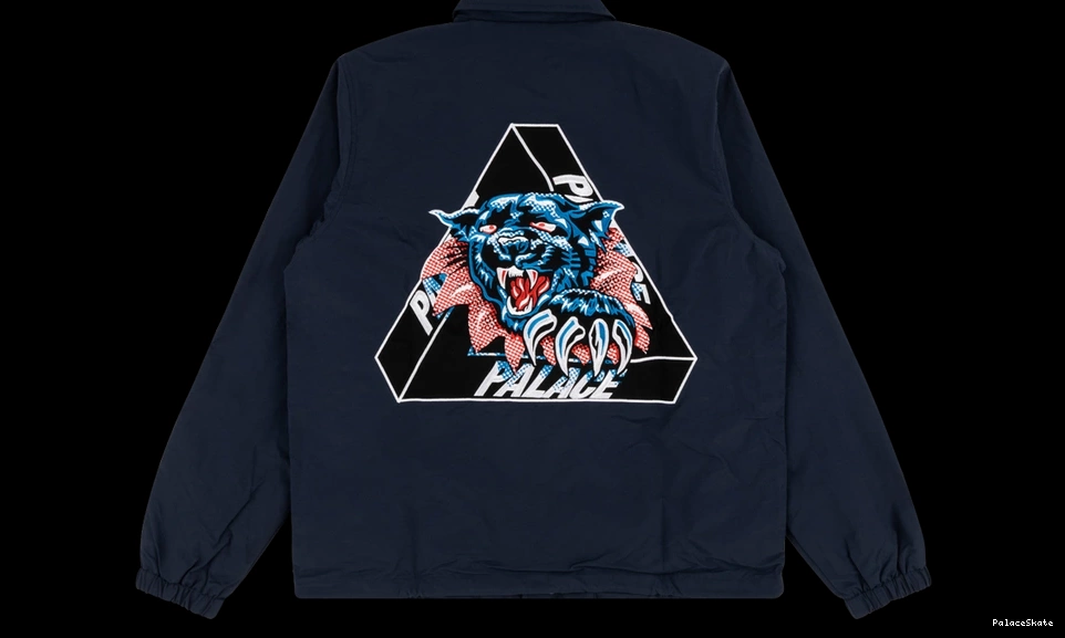 Palace Coach Ripped Jacket 0817